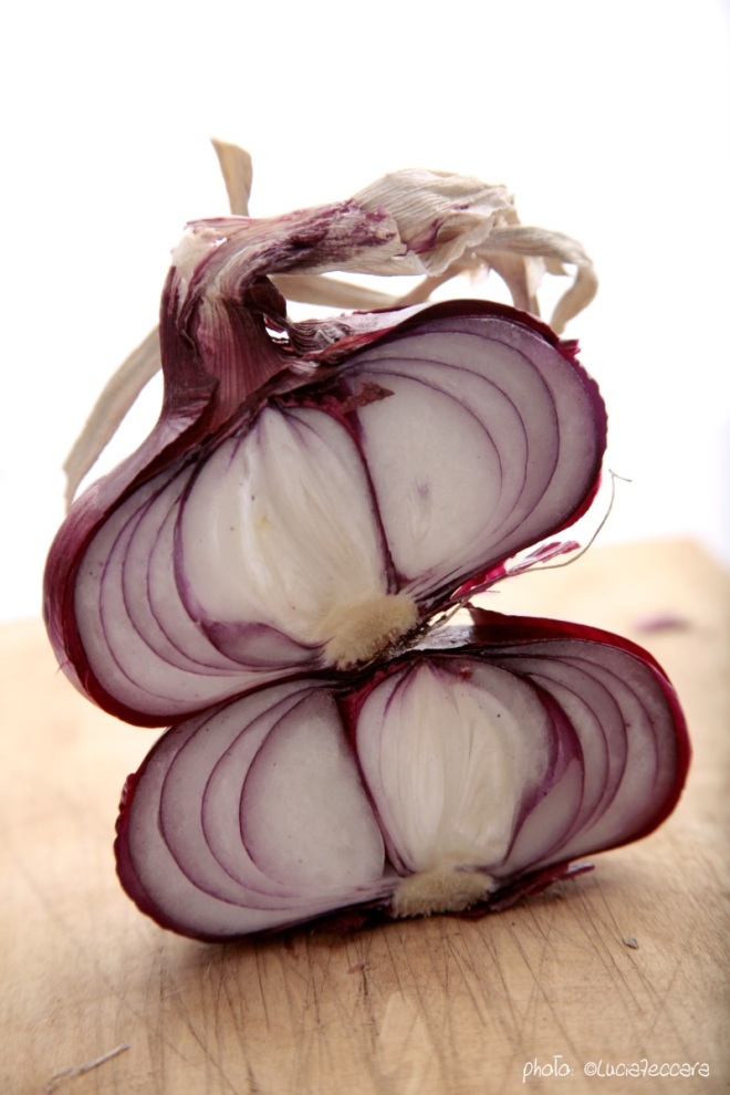 0994_red-onions_ockstyle_©luciazeccara