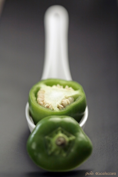 Solo :: Green Bell Pepper | Styling: Orsola Ciriello Kogan | Photo: ©LuciaZeccara